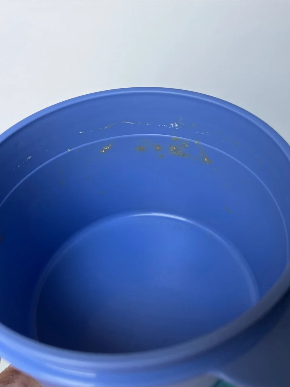 Tupperware Blue Cup with Green Lid and Handle
